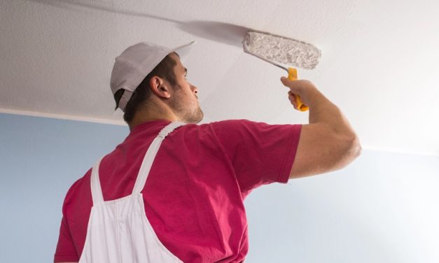 The Complete Guide to Professional Painting for Australian Homes and Commercial Buildings