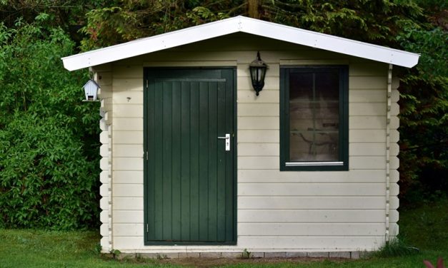 Shed Upgrades That Turn Storage Into Living Space