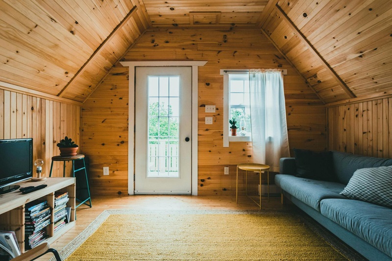light-filled interior of a cabin with natural wood paneled walls