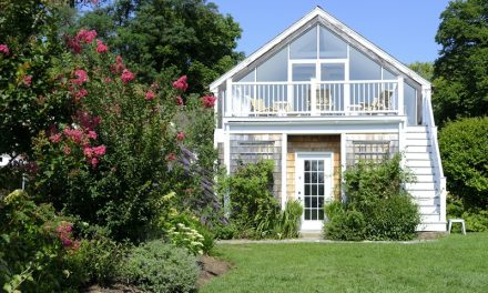 Beyond Storage: Turning Your Shed into a Usable Space