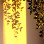 Trailing green vines hanging from the top, illuminated by warm yellow light on a wall.