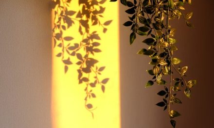 Why Natural Light Needs Boundaries In A Beautiful Home