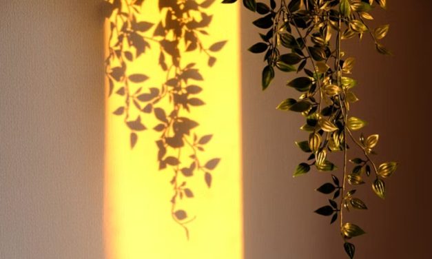 Why Natural Light Needs Boundaries In A Beautiful Home