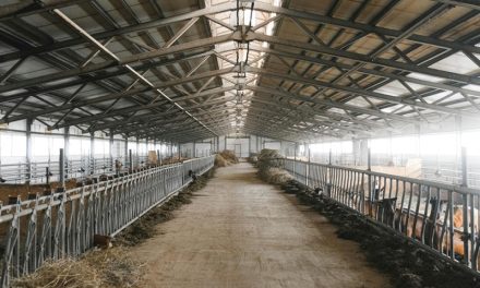 Farm Sheds: Essential Features for Australian Conditions