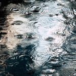 Raindrops creating ripples on a water surface, a serene and calming natural scene