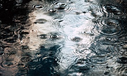 How To Manage Drainage And Rainwater Around Your Shed