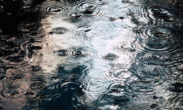 How To Manage Drainage And Rainwater Around Your Shed