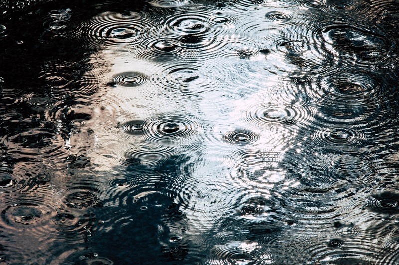 Raindrops creating ripples on a water surface, a serene and calming natural scene