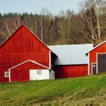 Red Rural Shed in a Forest
