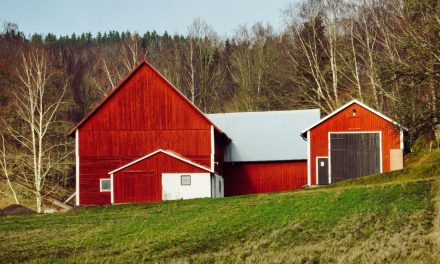 Planning Large-Scale Rural Sheds: How to Visualize Machinery Clearance and Workflow Space