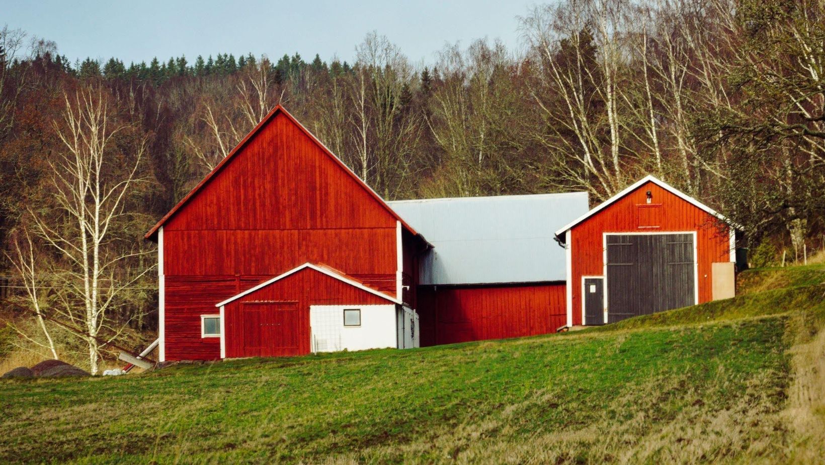 Red Rural Shed in a Forest