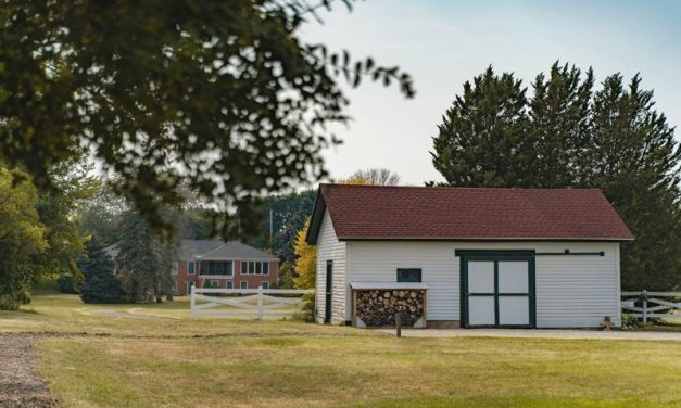 From Blueprint to Backyard: Why You Need a 3D Architectural Visualization Service for Your Custom Shed Design