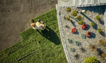 What to Look for When Hiring a Landscaper: Tips for Metro Residents