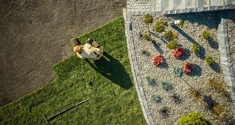 Top-Down View of a Landscaper Laying Fresh Sod Turf