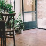 Wooden chair in a room with plants