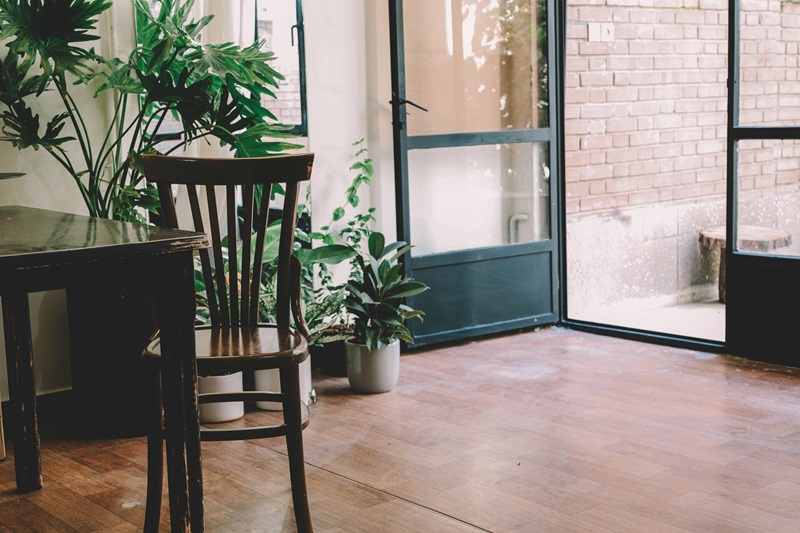 Wooden chair in a room with plants