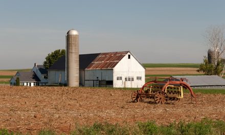 How Remote Sheds and Rural Workspaces Are Becoming More Connected