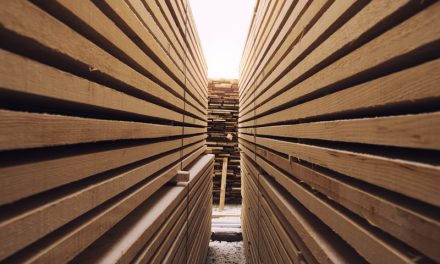 The Maths of Building a Shed: How to Calculate Materials, Costs and Dimensions Without Getting It Wrong