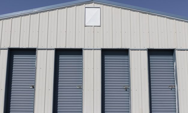 Roller Doors vs Sectional Doors: Choosing the Right Garage Door for Your Shed or Workshop