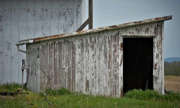 Keeping Your Shed Watertight and Weatherproof