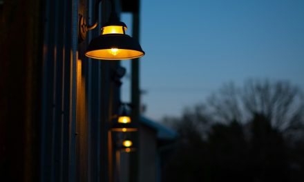 How to Safely Add Electricity to Your Shed