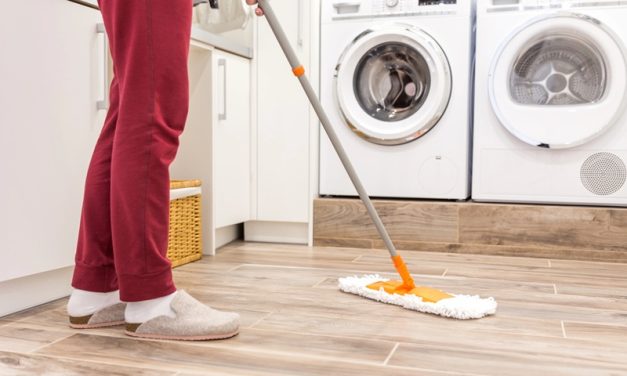 What Shed Cleaning Services Actually Include and When it’s Worth Calling One In