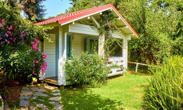 From Garden to Shed: Simple Ways to Improve Your Outdoor Living Space