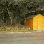 Cozy Light Timber Outbuilding Beside Roadside Trees