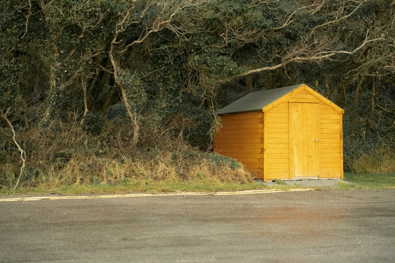 Cozy Light Timber Outbuilding Beside Roadside Trees Cozy Light Timber Outbuilding Beside Roadside Trees