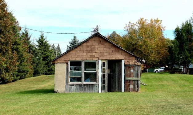 Safety First: Assessing Your Shed’s Structure
