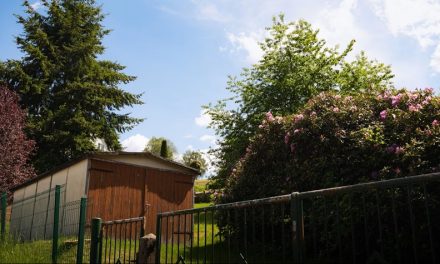 Optimising Outdoor Spaces: Sheds and Alfresco Areas
