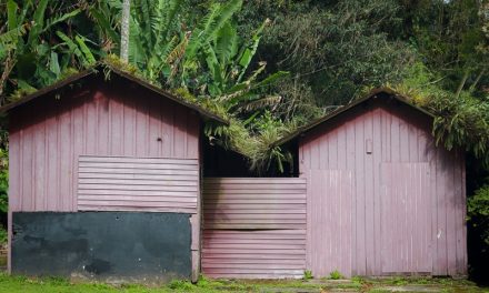 Moving House? What to Do With Everything Stored in Your Shed