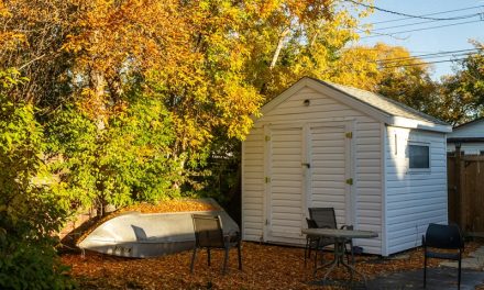 Smart Shed Upgrades for Better Functionality