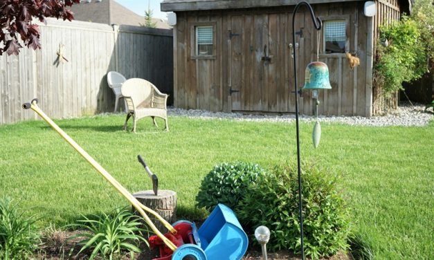 Protecting Your Valuables During Shed Renovations