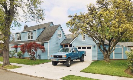 Revitalise Your Driveway: Beyond Just Sweeping