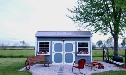 Maintaining Your Shed: Spotting Hidden Hazards