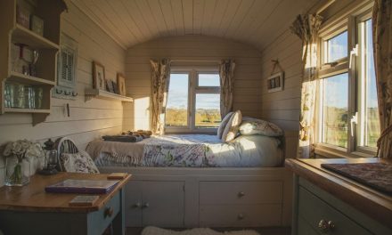 What It Takes to Turn a Backyard Shed into a Liveable Space