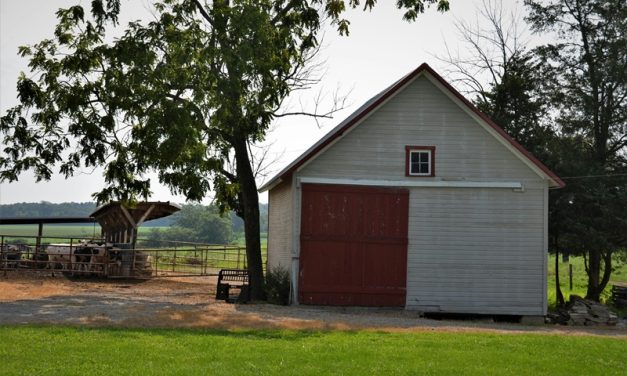 Protecting Your Shed: Securing Windows and Doors