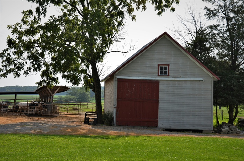red and white wooden house near green tree during daytime red and white wooden house near green tree during daytime