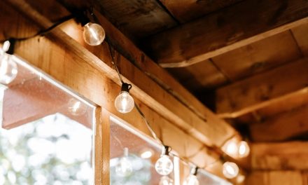 Wiring Your Shed Safely for Power and Lighting