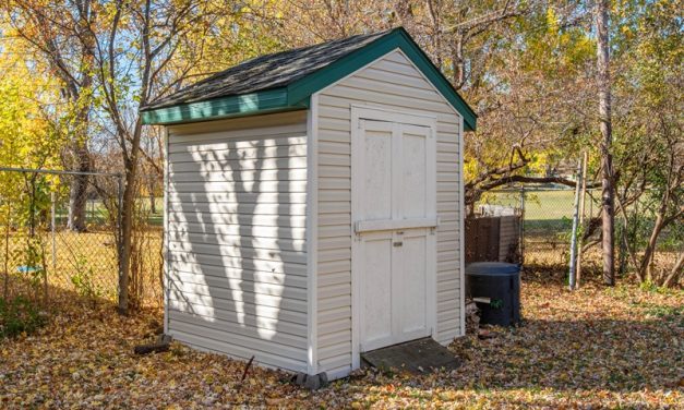 Renovating Your Shed: Kitchen and Bathroom Upgrades