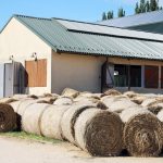 View of a rural animal farm with hay bales after harvest