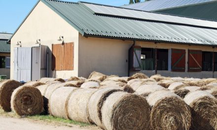 How Custom Farm Sheds & Outbuildings Boost Rural Property Valuation