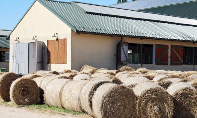 How Custom Farm Sheds & Outbuildings Boost Rural Property Valuation