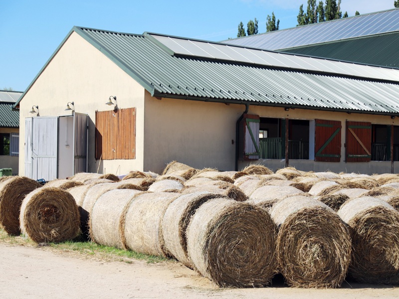 View of a rural animal farm with hay bales after harvest View of a rural animal farm with hay bales after harvest