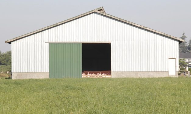 How to See Your Shed Before You Order the Steel