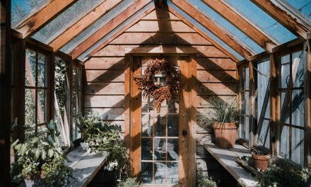 How Proper Ventilation Keeps Your Shed in Good Shape
