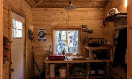The Importance of Regular Shed System Checks