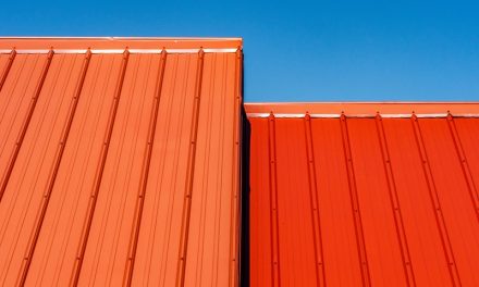 Protecting Your Shed: A Guide to Roof Longevity
