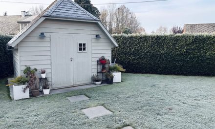 How to Turn a Backyard Shed into a Livable Studio